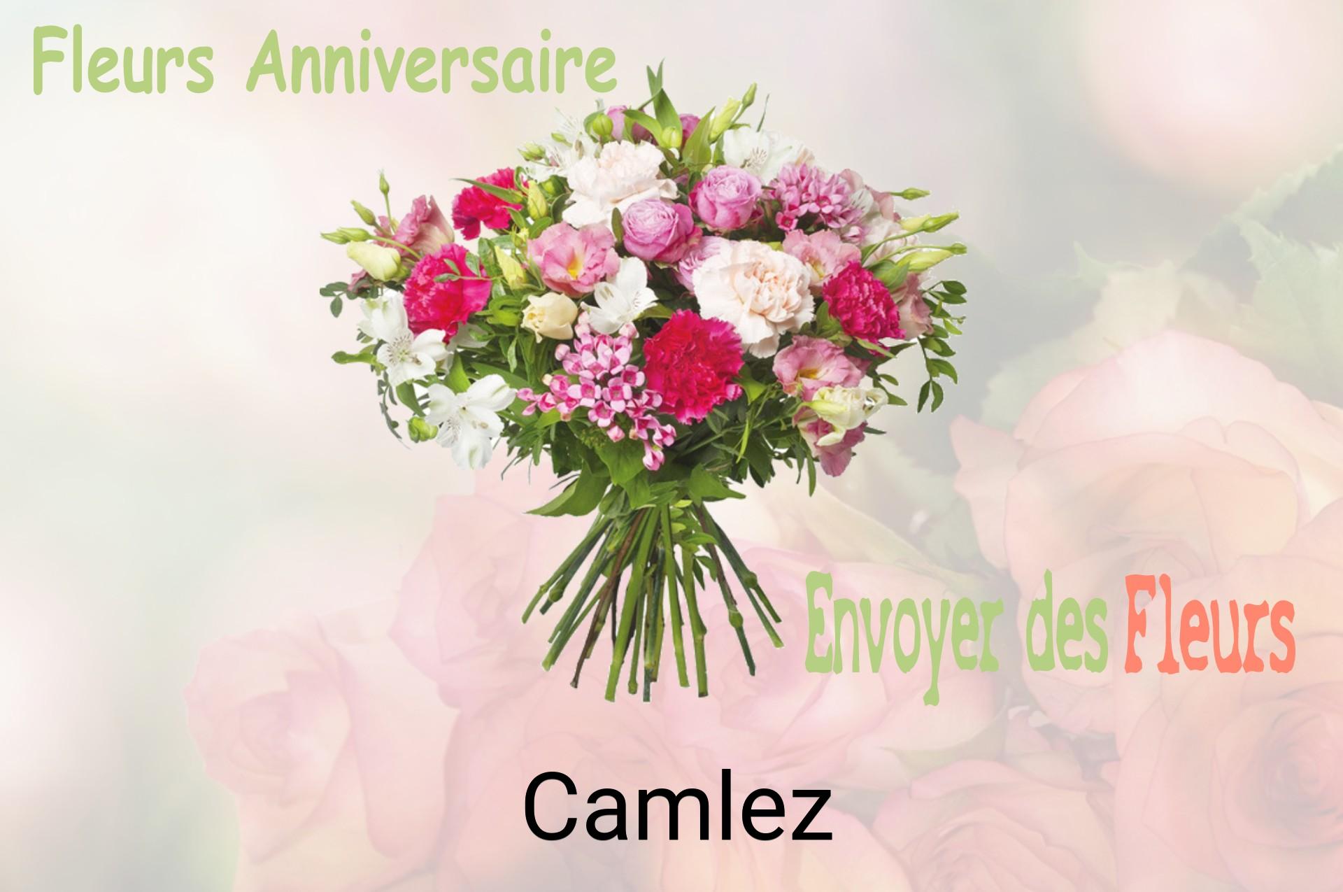 Bouquet de fleurs d’anniversaire livré à Camlez