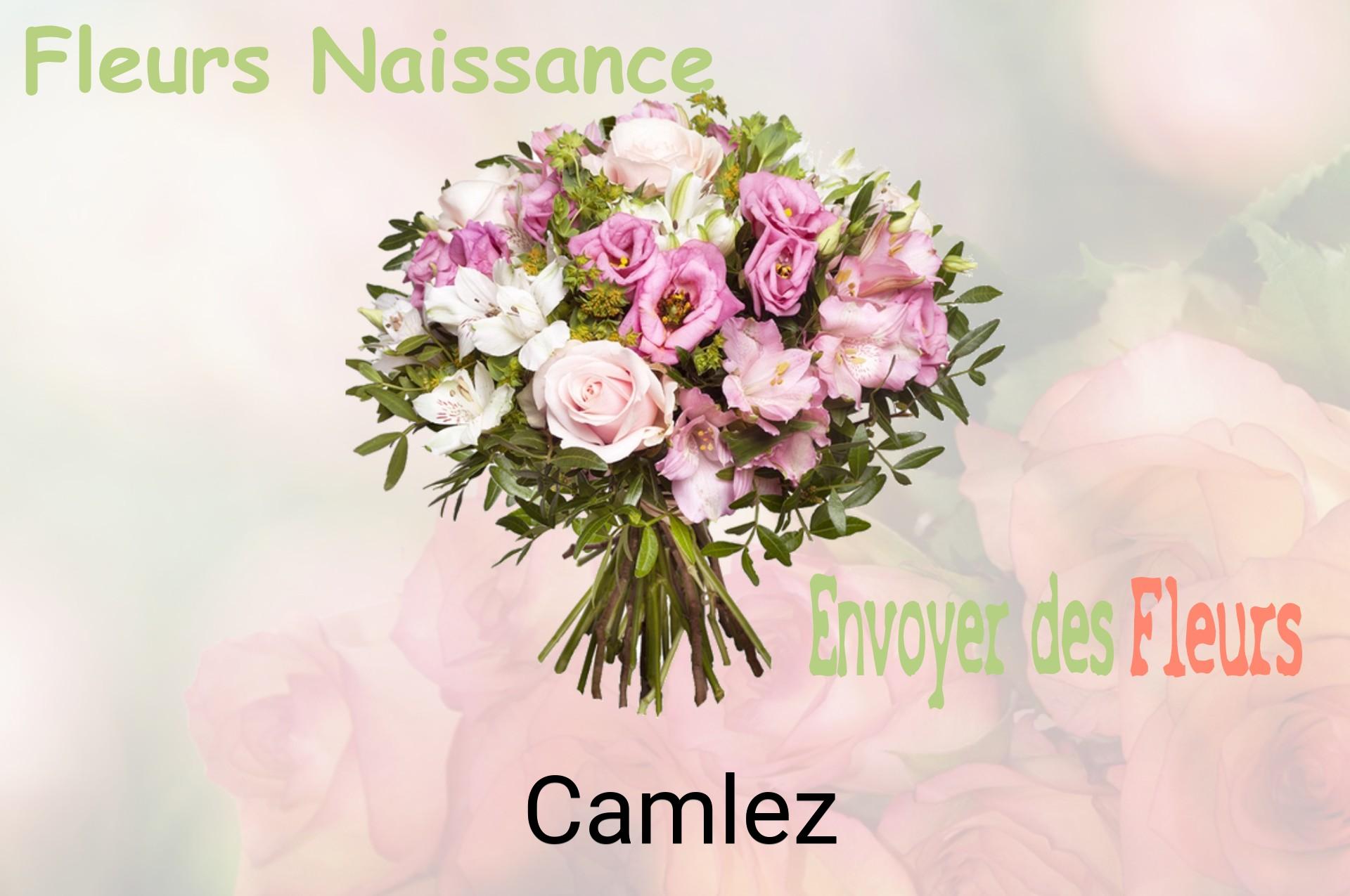 Bouquet de fleurs de naissance livré à Camlez