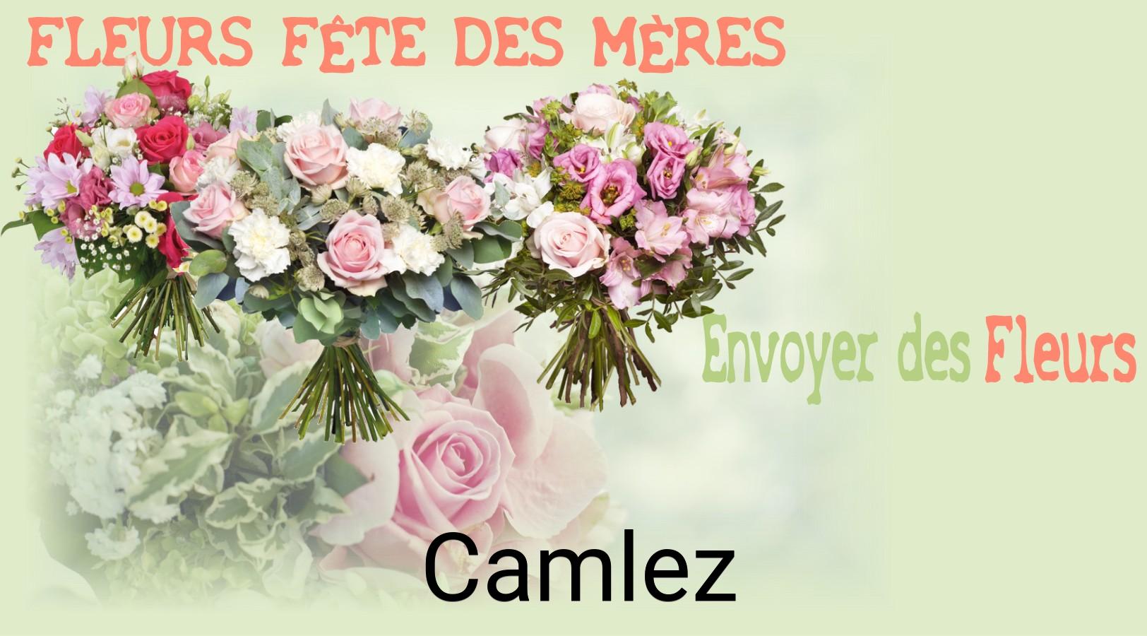Bouquet de Fête des Mères livré à Camlez